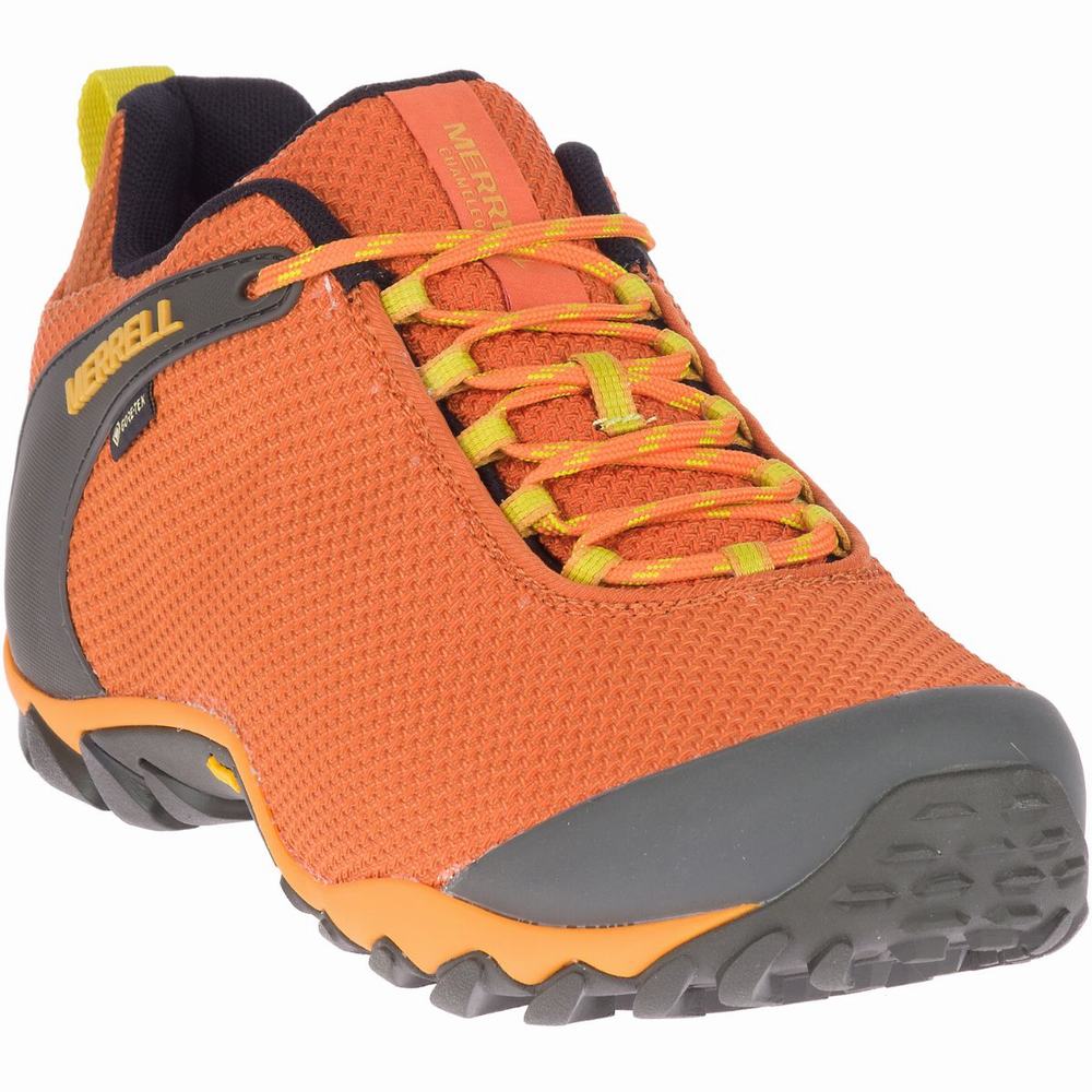 Merrell cheap chameleon 1